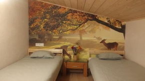 Vakantiewoning De Specht